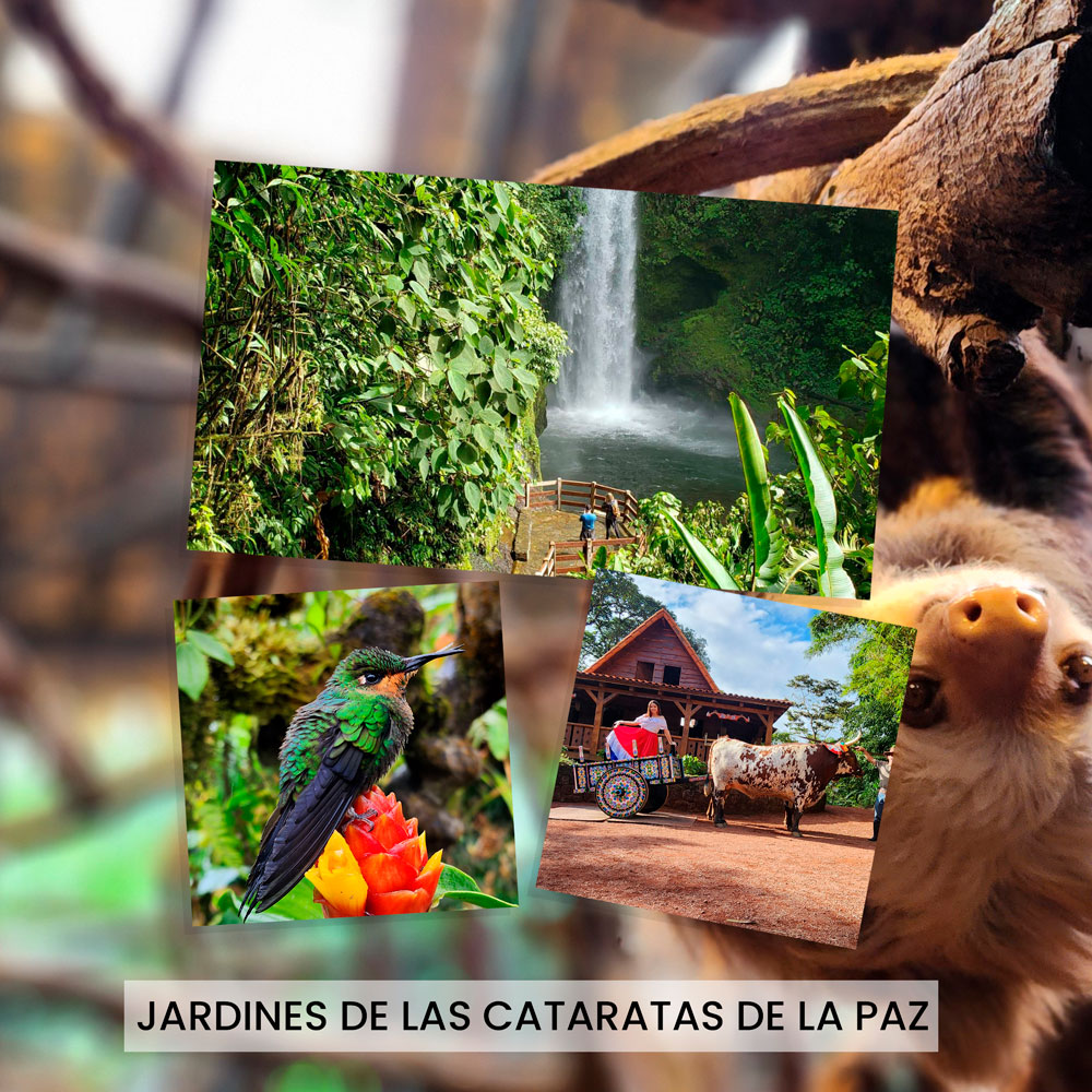 Jardines-de-las-Cataratas-de-La-Paz