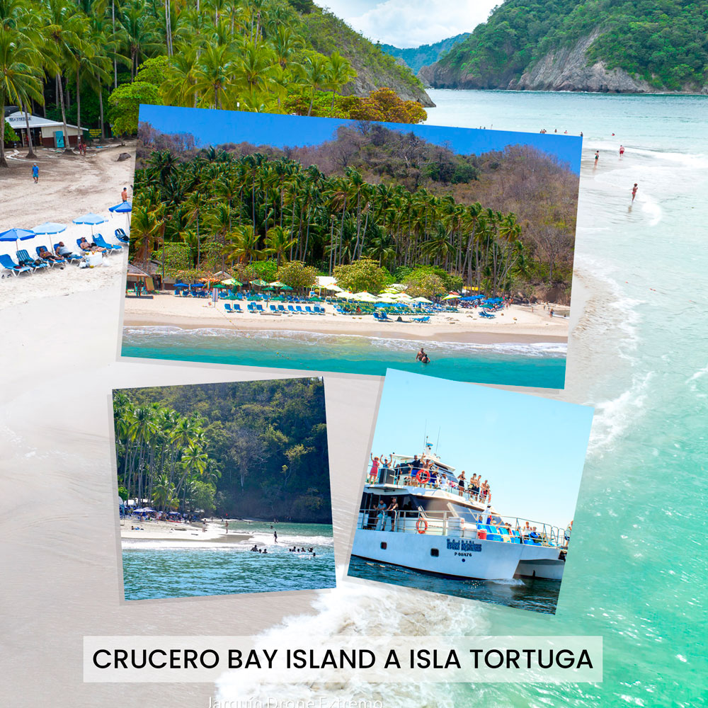 Crucero-Bay-Island-a-Isla-Tortuga