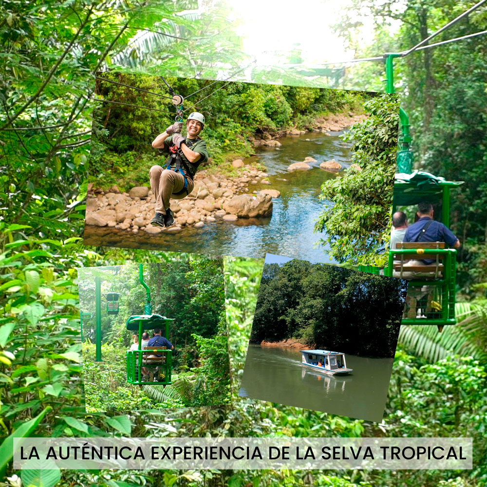 La-autentica-experiencia-de-la-selva-tropical