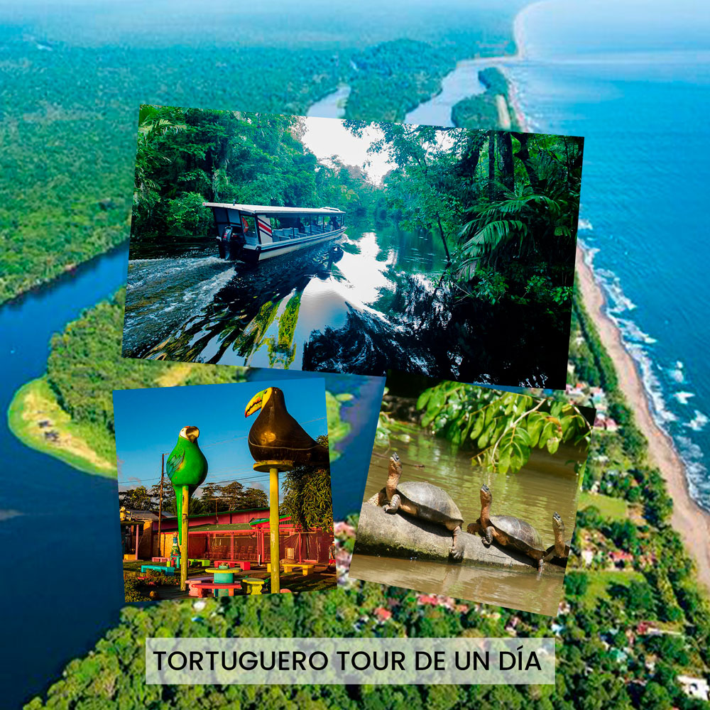 Tortuguero-Tour-de-un-dia