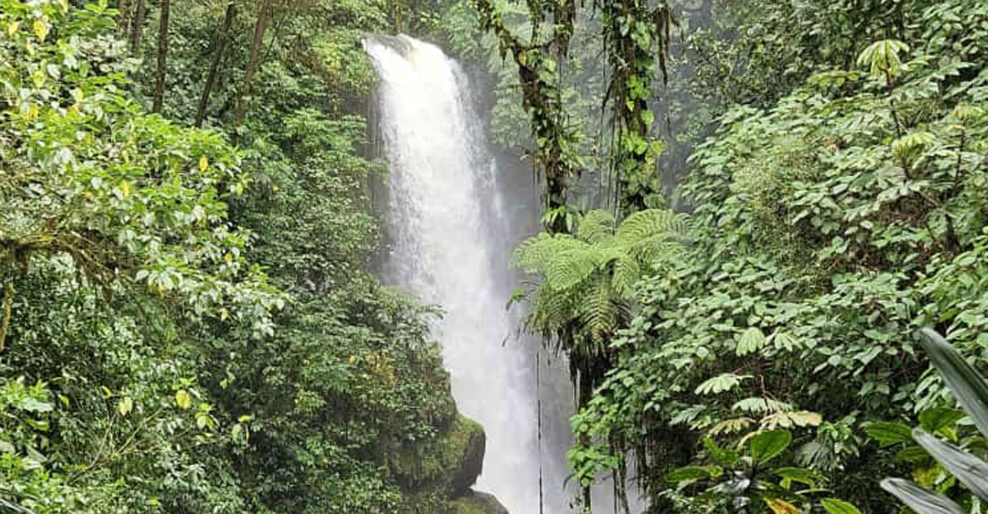 jardinez-paz-5