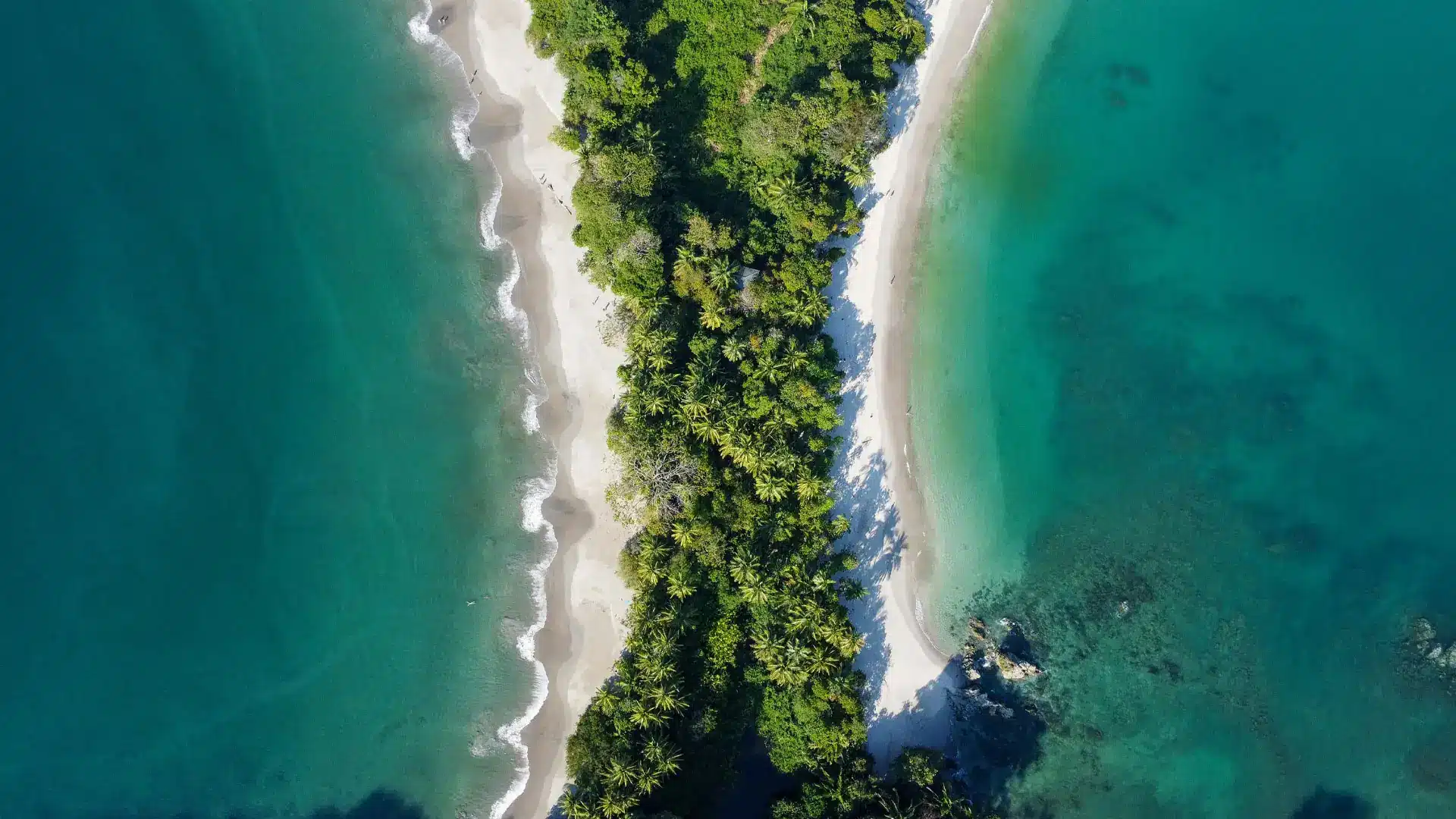 Vacation Packages